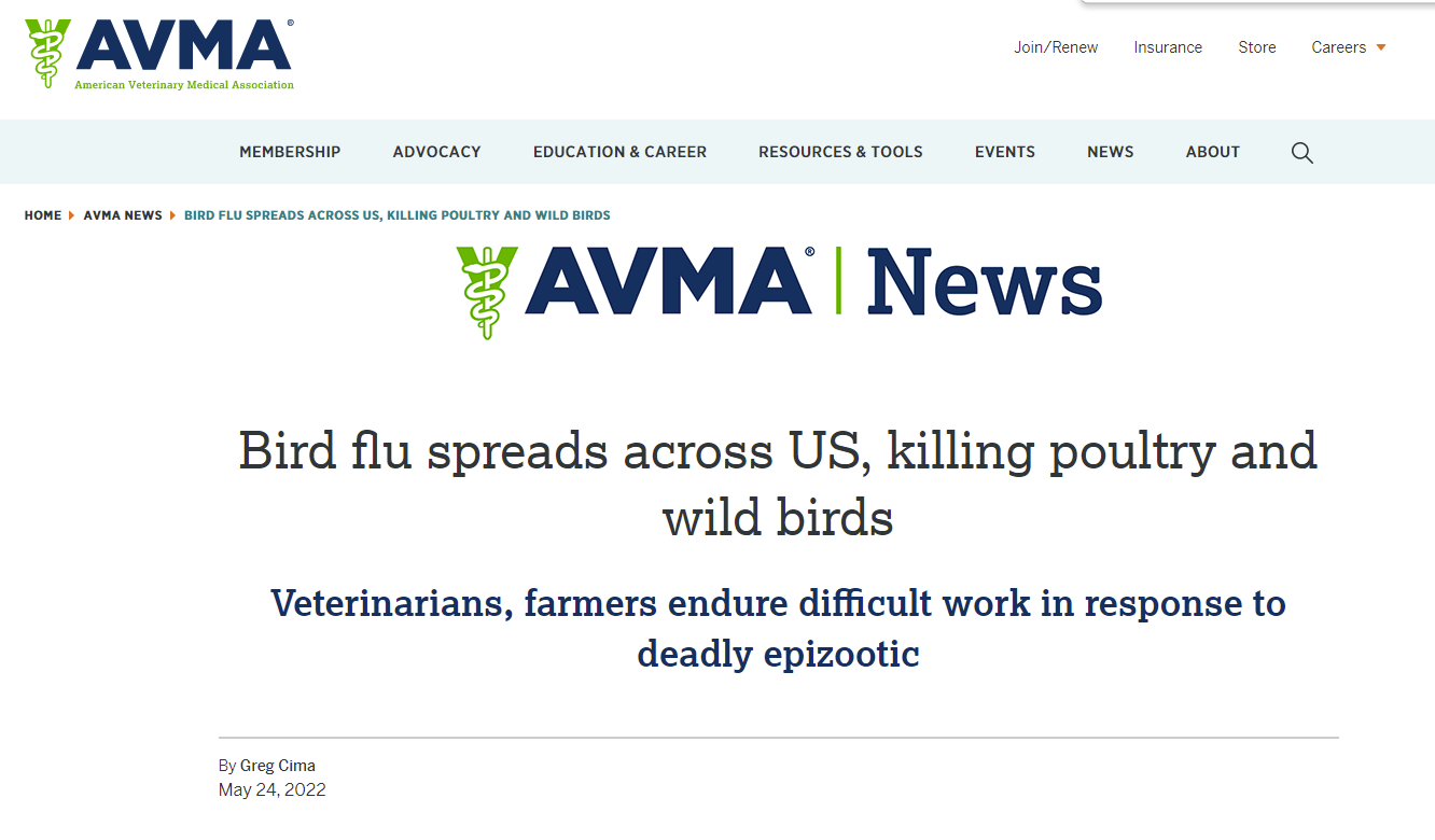 bird flu news 2.png