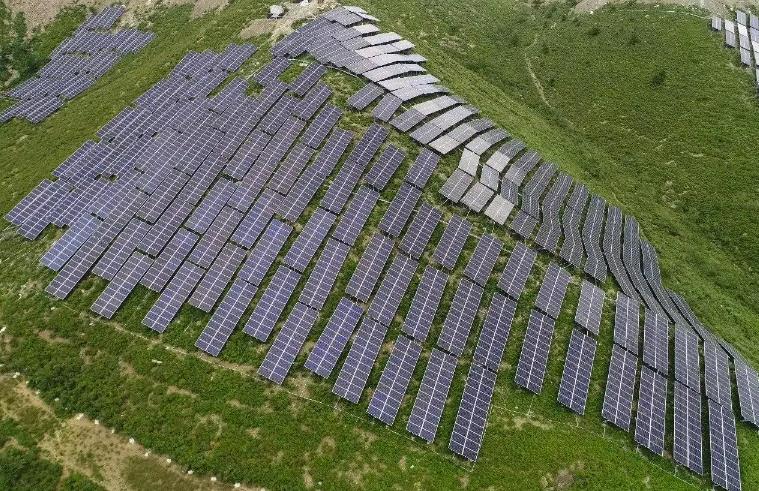 bird repellent solar farm.jpg