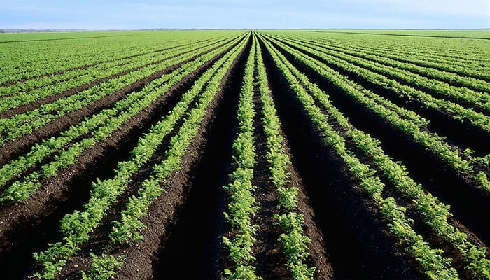 0_Africa-agriculture-fields.jpg