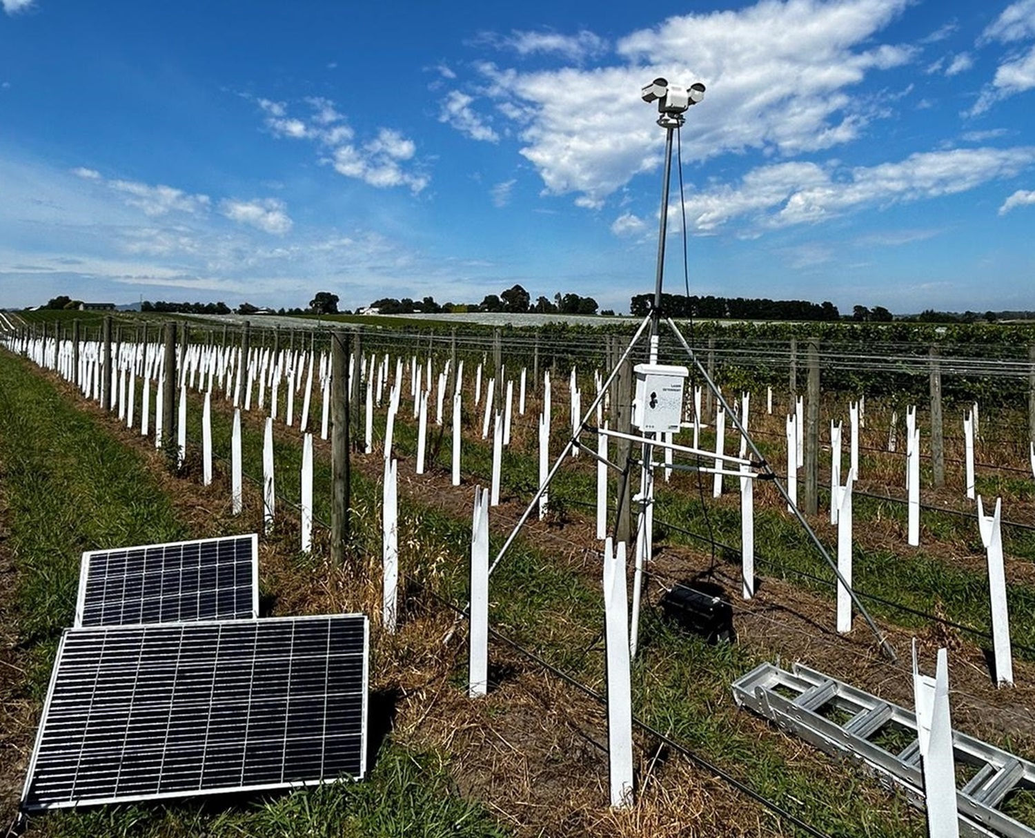 Laser Bird Deterrent | Creative dual head agricultural laser bird deterrent system for vineyards bird control - bird repellant - bird deterrent - bird scarer